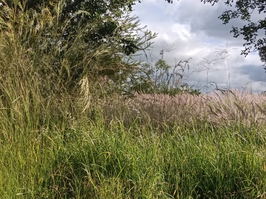 Commercial Property for Sale in Hartbeesfontein North West